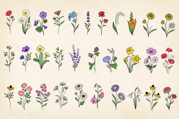 Download Hand-drawn Minimal Wildflowers Bundle - Hand Collection